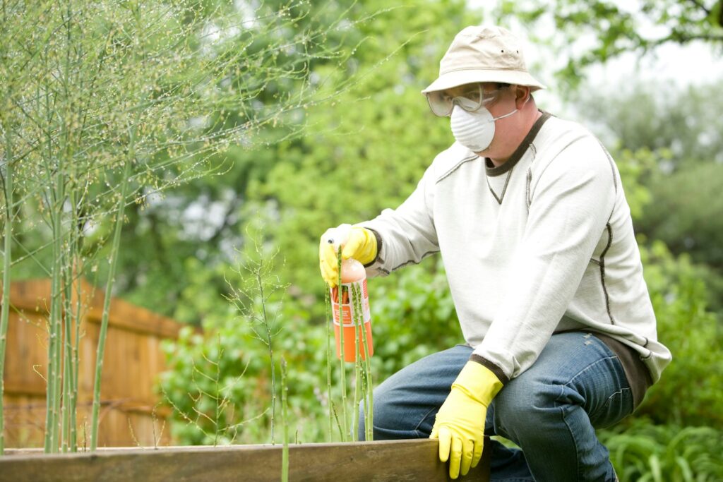 austin tree fertilization