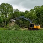 Austin Tree Removal