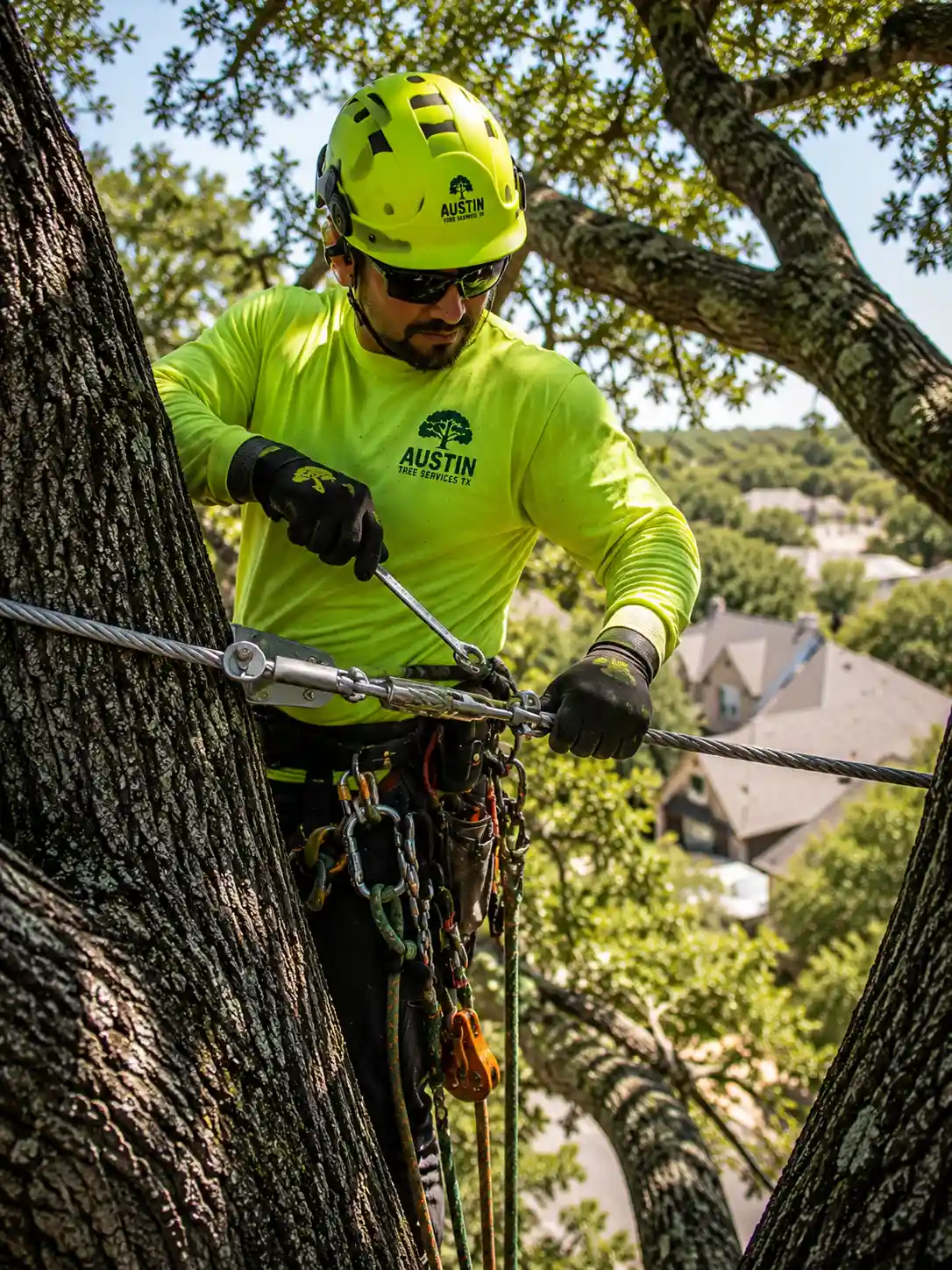 Tree cabling installation on a mature oak in Buda, TX